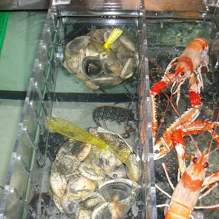 Casa De Labranza Ria De Castellanos بيت ضيافة 4*